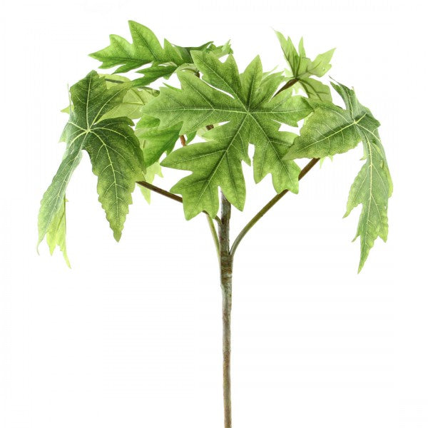 32"PAPAYA LEAF BRANCH TT.GRN