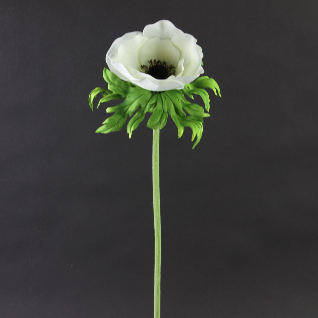 22"JUST CUT ANEMONE