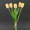 17.5"HOLLAND TULIP X5 A25