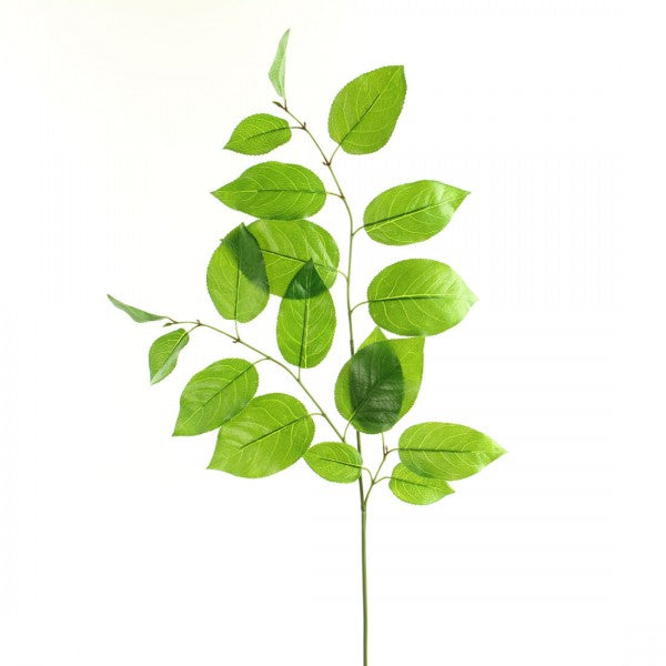 31"TRIPLE SALAL LEAF SPRAY