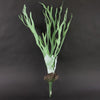 28"COASTAL CORAL FERN
