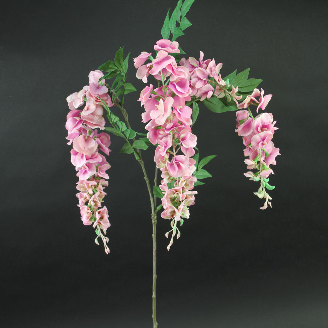 36"UV WILD WISTERIA SPRAY