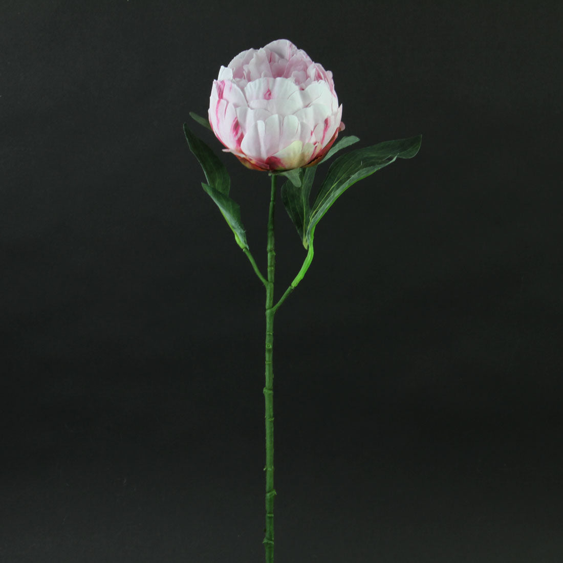 21"LOVELY PEONY STEM