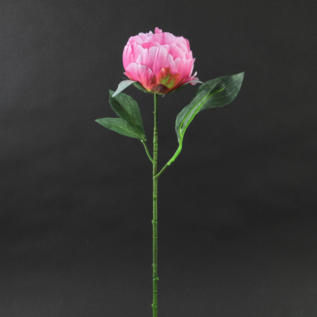 21"LOVELY PEONY STEM ROSE PINK