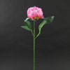 21"LOVELY PEONY STEM ROSE PINK