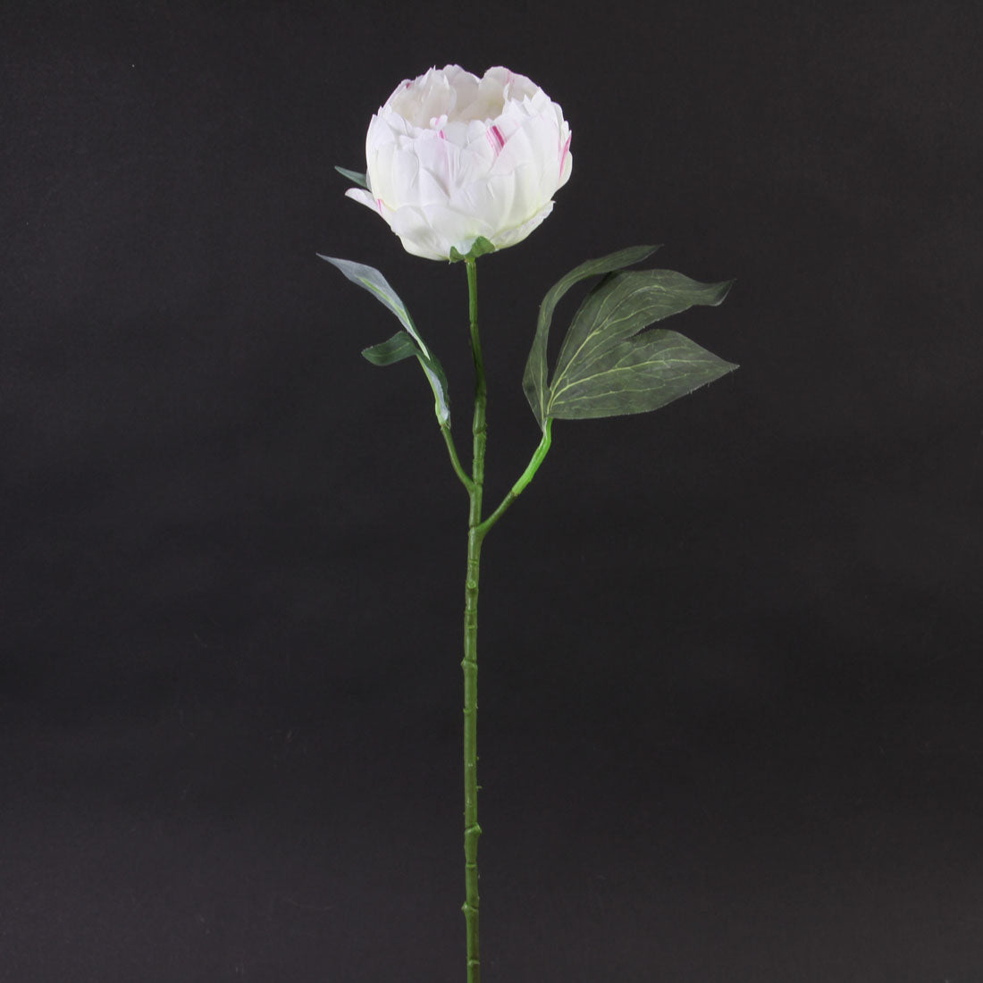 21"LOVELY PEONY STEM