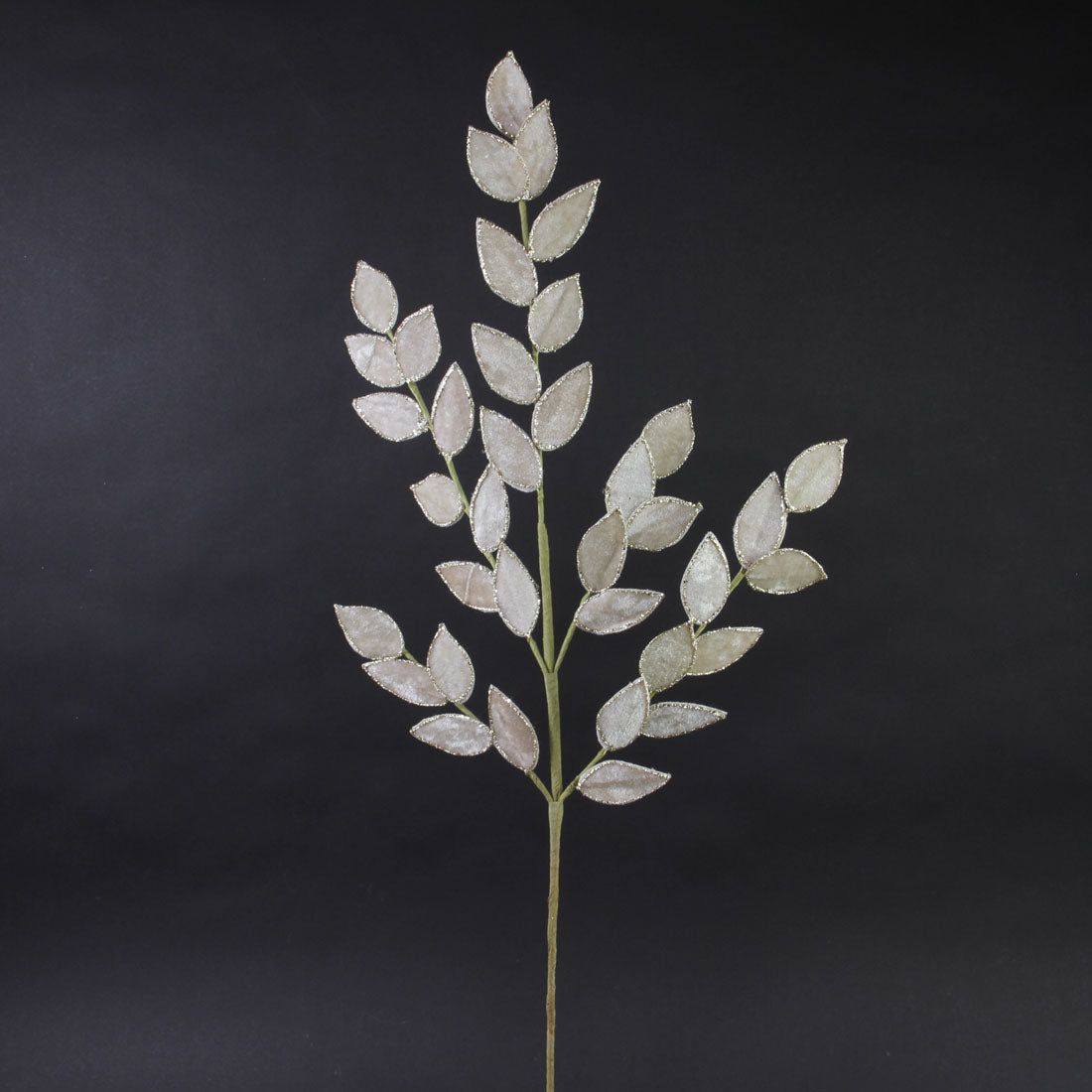 31"VEL/GLT.RUSCUS SPRAY CHAMP