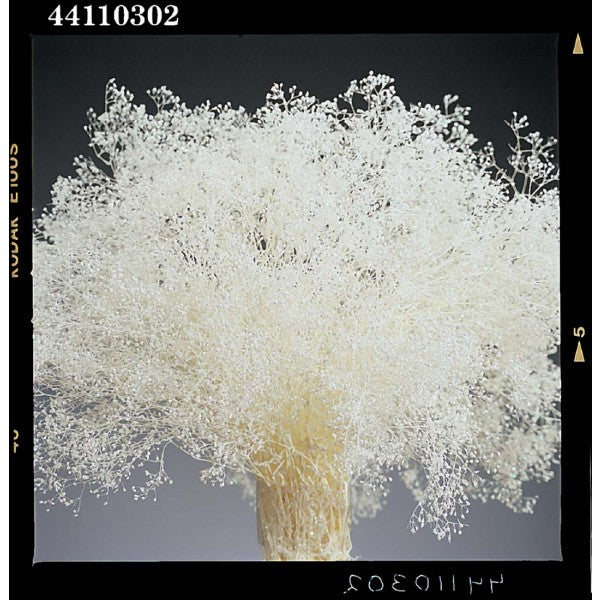 SPARKLE GYP WHITE