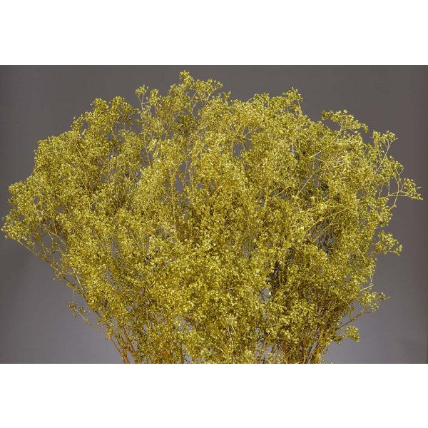 SPARKLE GYP CHARTREUSE A25