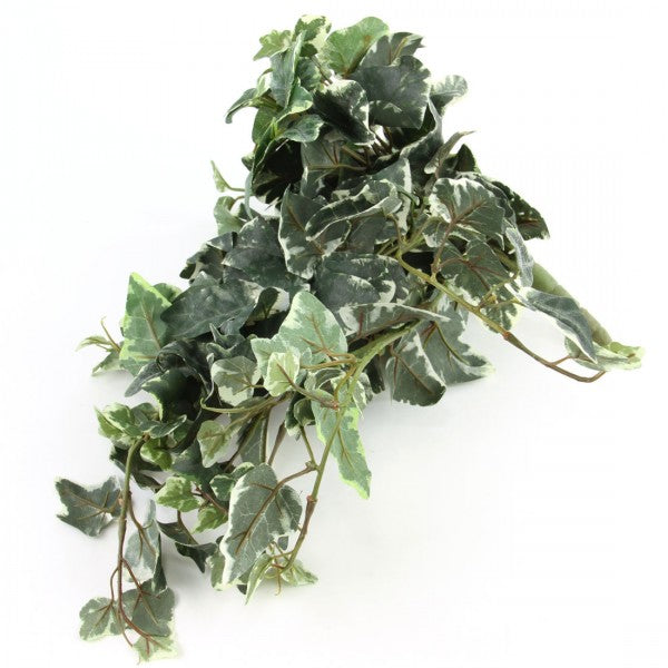 21" KANGRAOO IVY BUSH X15 A25