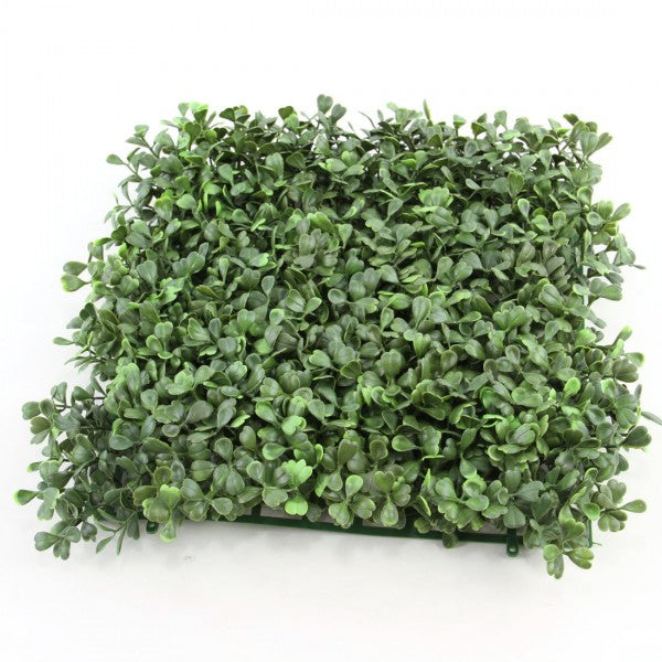 12" BOXWOOD SQUARE