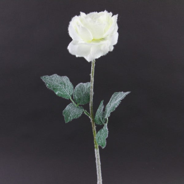 20"SNOW ROSE WHITE A4