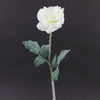 20"SNOW ROSE WHITE A4