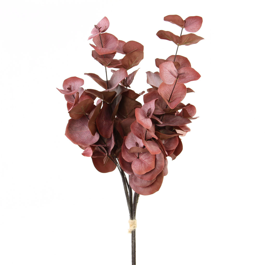 20"EUCALYPTUS X4 RED