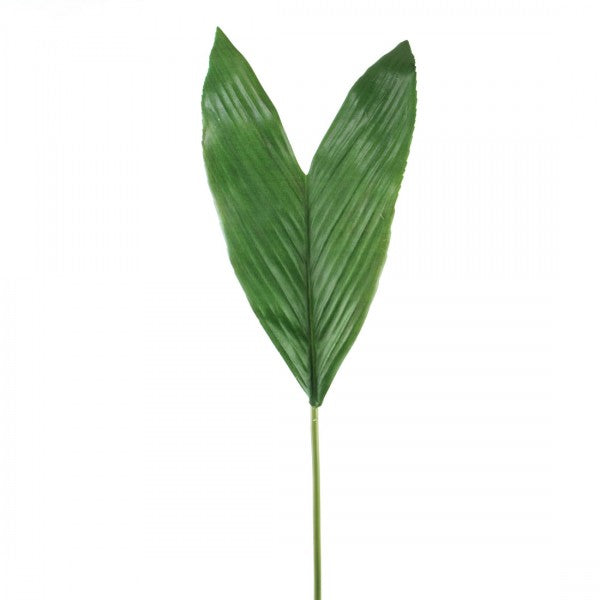 39.25"COCONUT LEAF GREEN A4