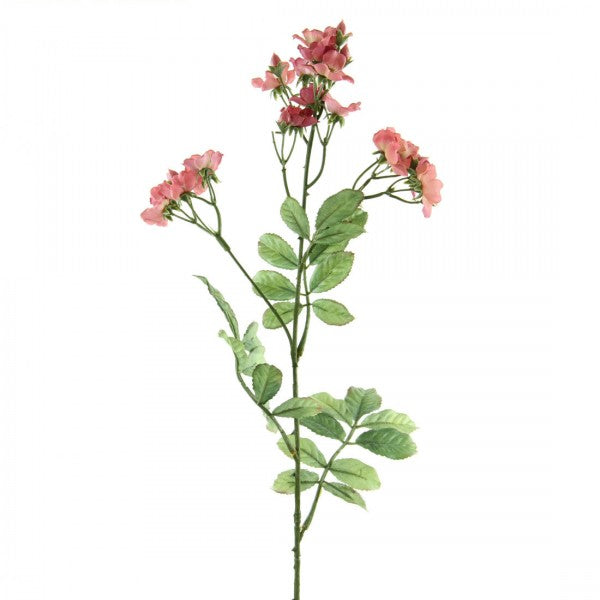 24"WILD ROSE PINK A5 B6