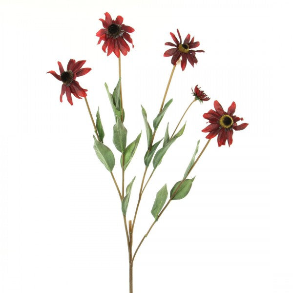 34" BLK EYED SUSAN A5 B6