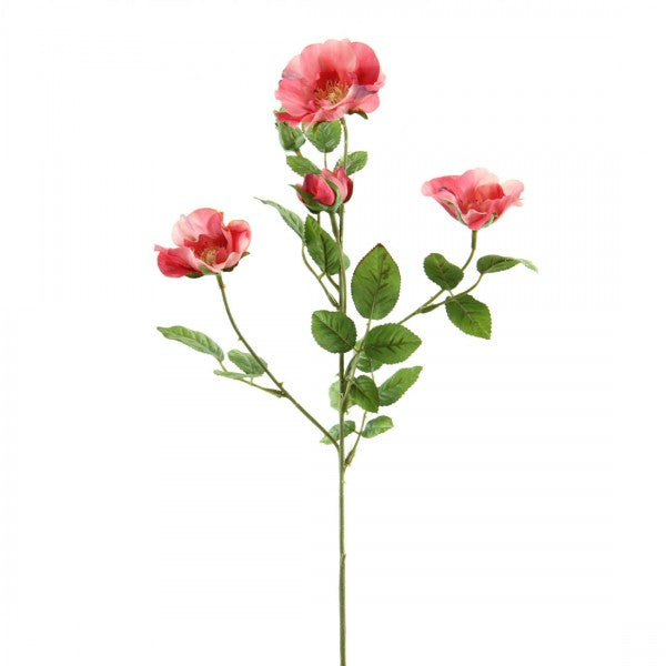 ROSE X4 A25 B5