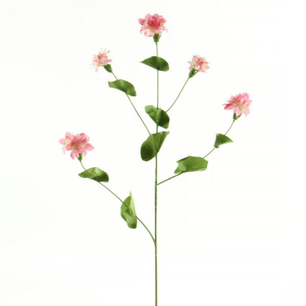 BULPEURUM A4 B6