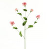 BULPEURUM A4 B6