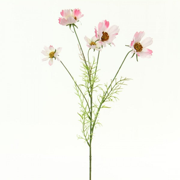 COSMOS A4 B5