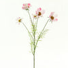 COSMOS A4 B5