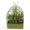 13.5"HERB ARRANGEMENT A5