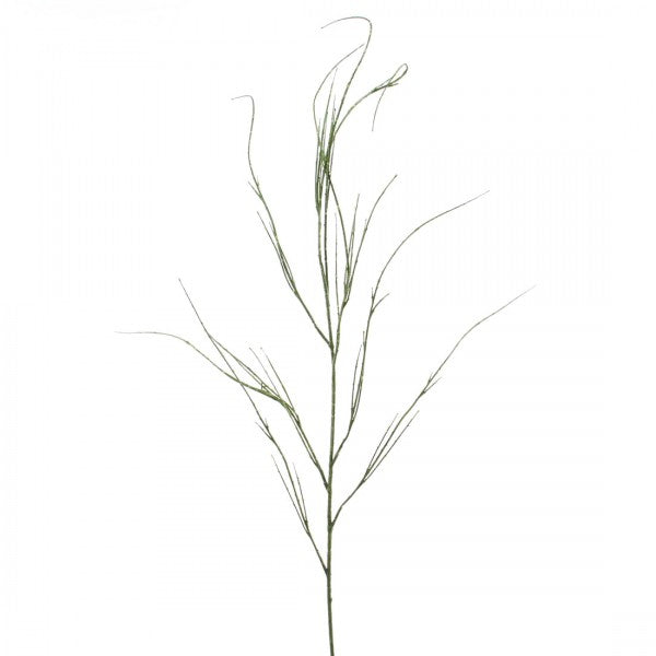 45"SCOTCH BLOOM SPRAY A25