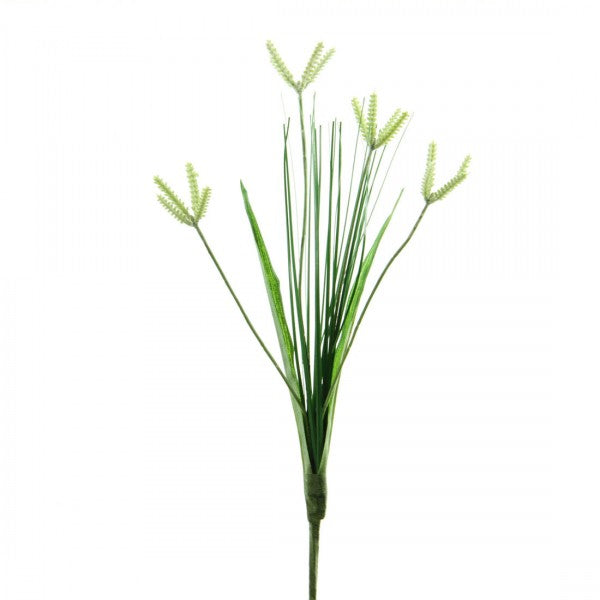 VERNAL WEED SPRAY A4 B1