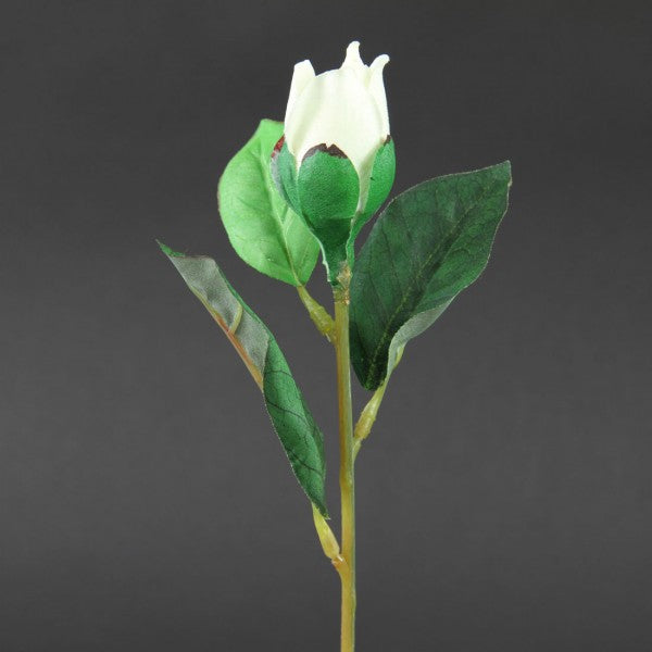 SM.GARDENIA PICK A25