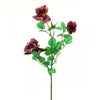 PLNTR HYBIRD TEA ROSE A5 B2