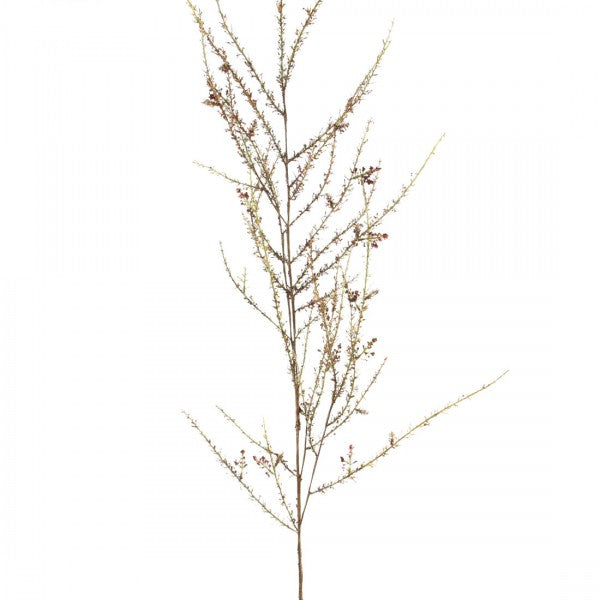 52.5" TEA TREE BRANCH A5