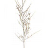 52.5" TEA TREE BRANCH A5