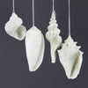 SEASHELL ORNA ASST A4
