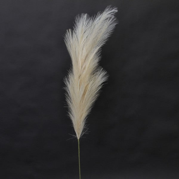 48"PAMPAS GRASS BEIGE
