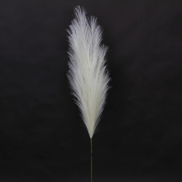 48"PAMPAS GRASS CREAM