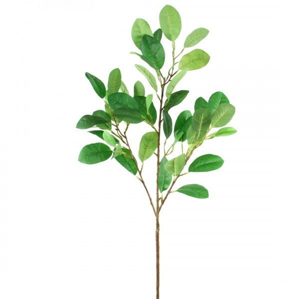 LEMON LEAF SPRAY GREEN