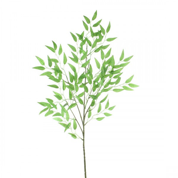42"RUSCUS SPRAY GREEN