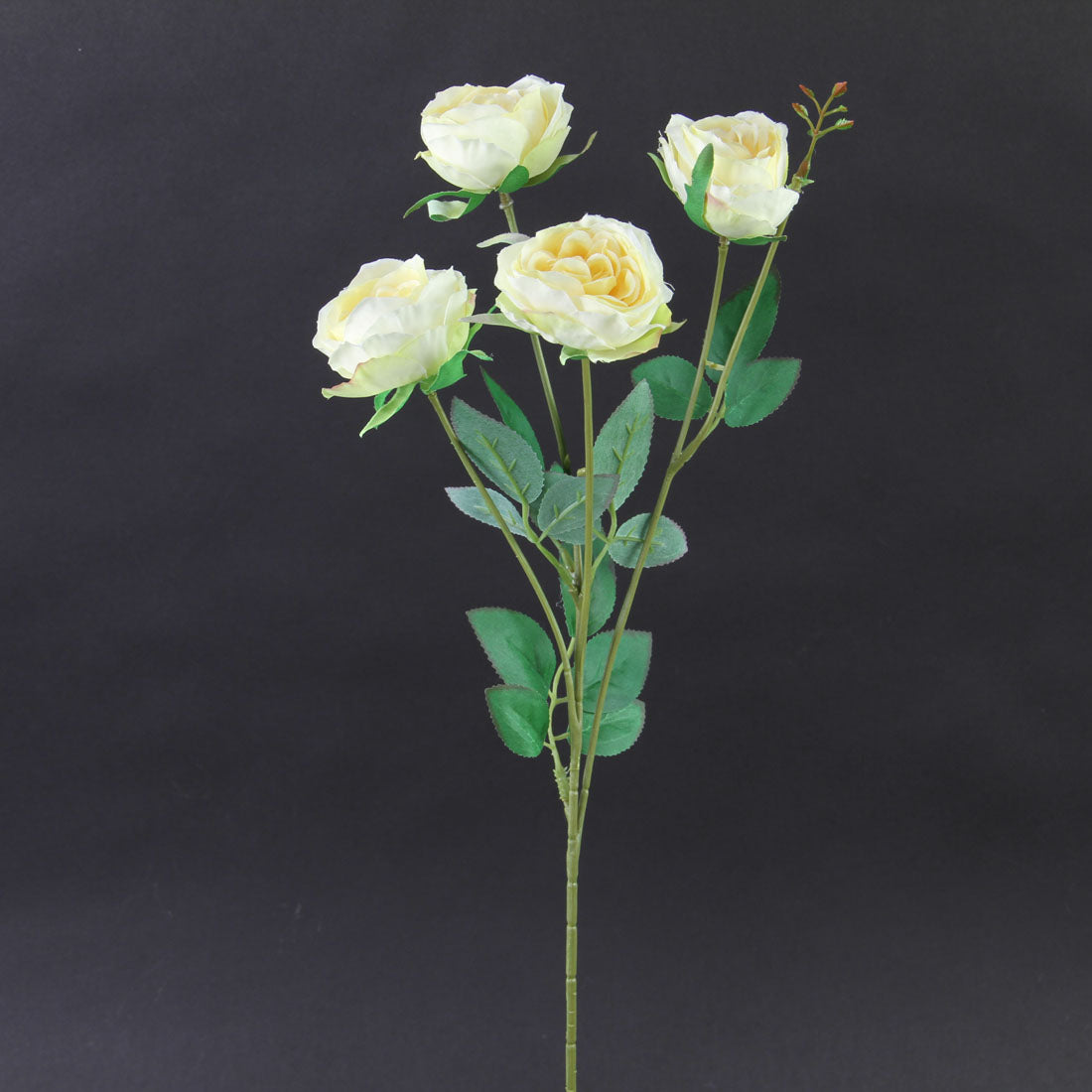 20"CABBAGE ROSE X4