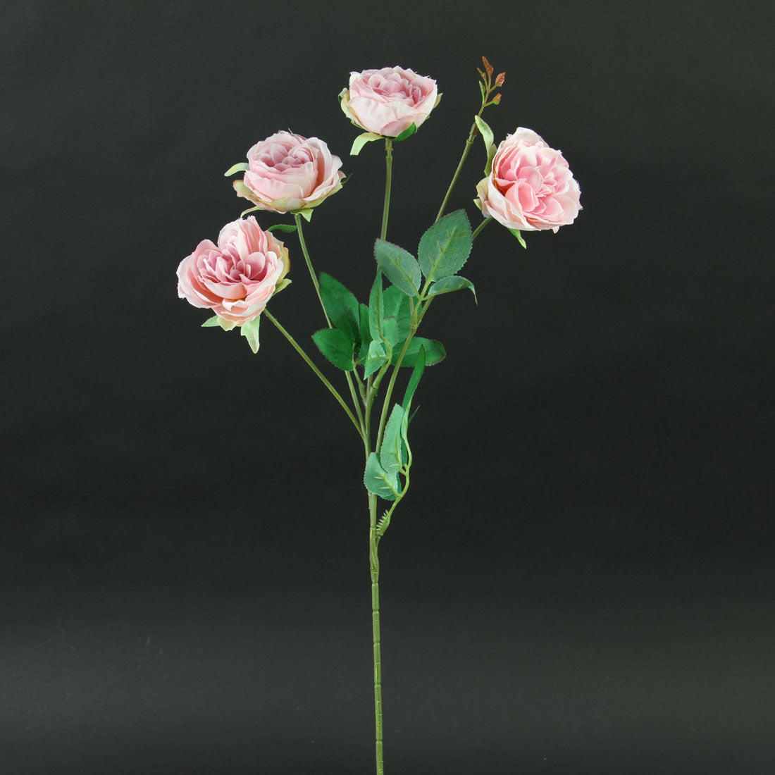 20"CABBAGE ROSE X4