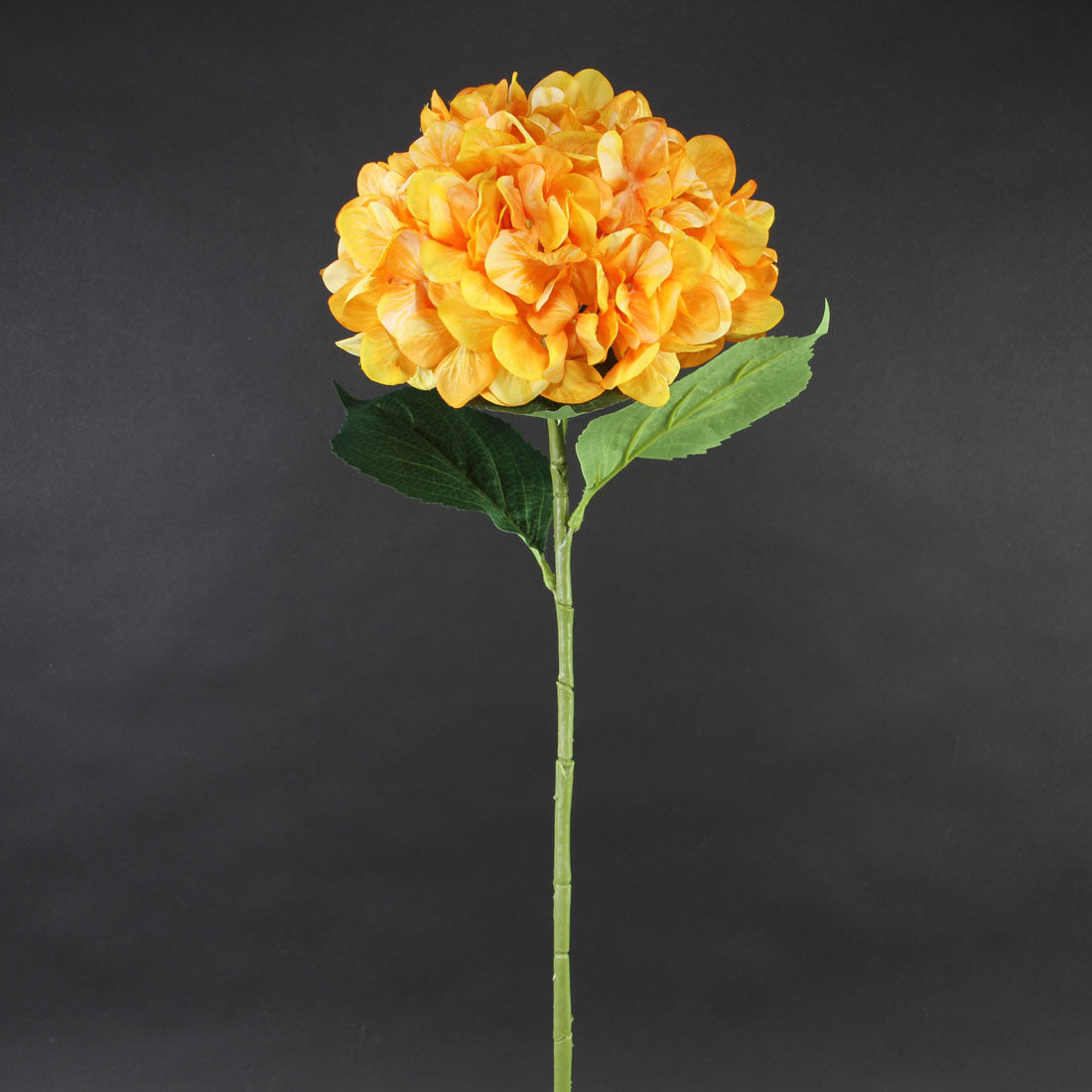 32.5"HYDRANGEA STEM