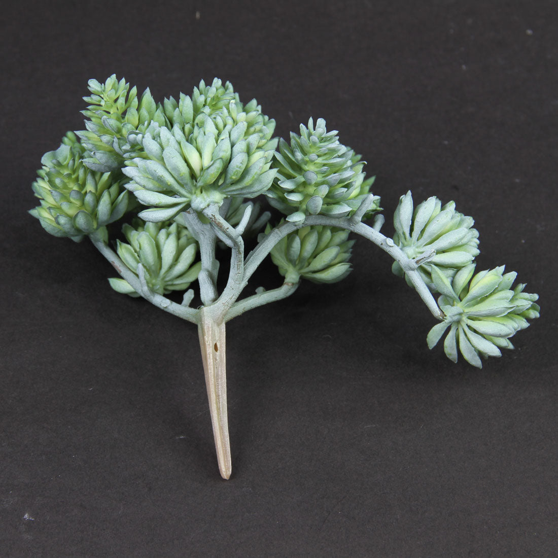 5"SEDUM PICK