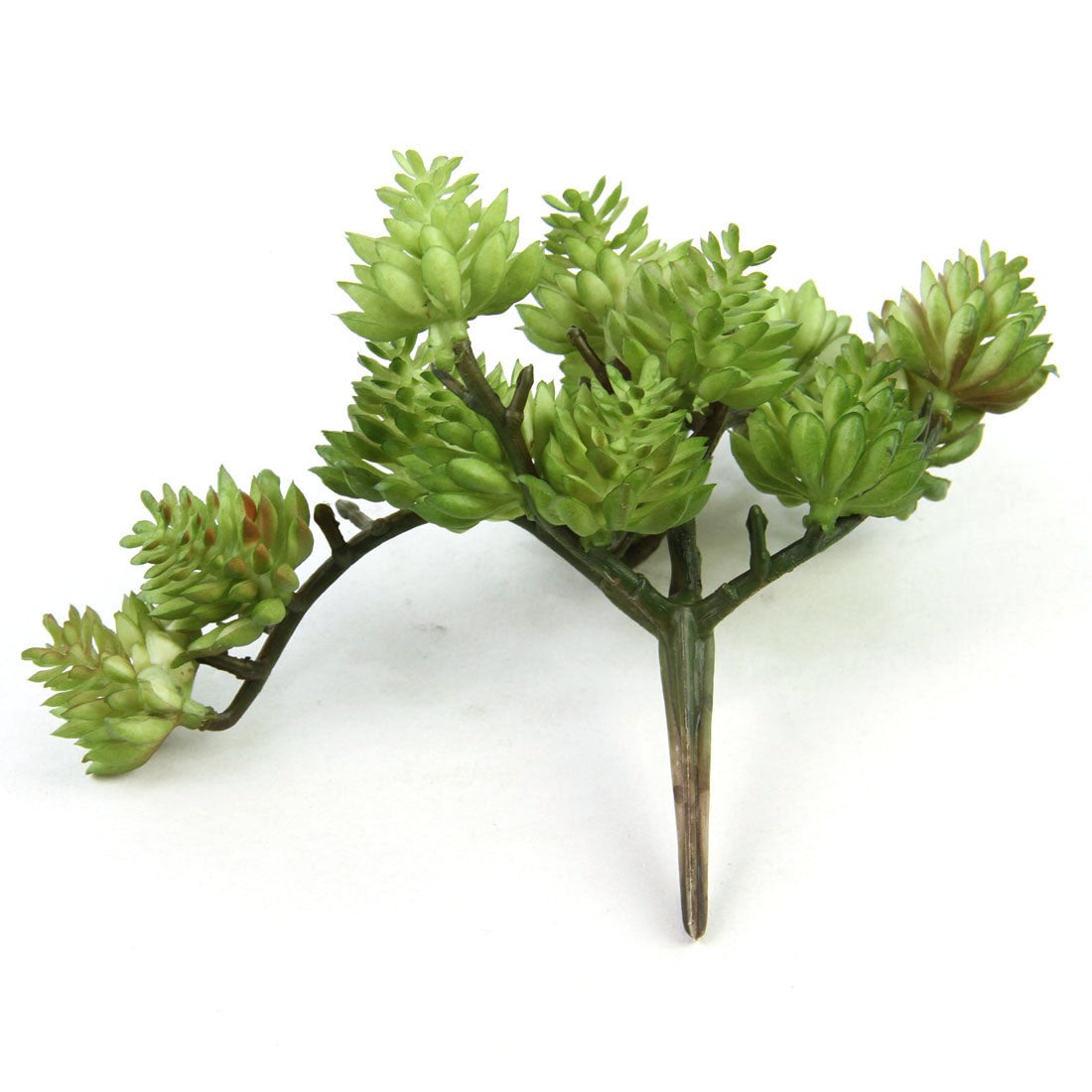 5"SEDUM PICK