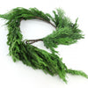 CYPRESS/NORFOLK GARLAND GREEN