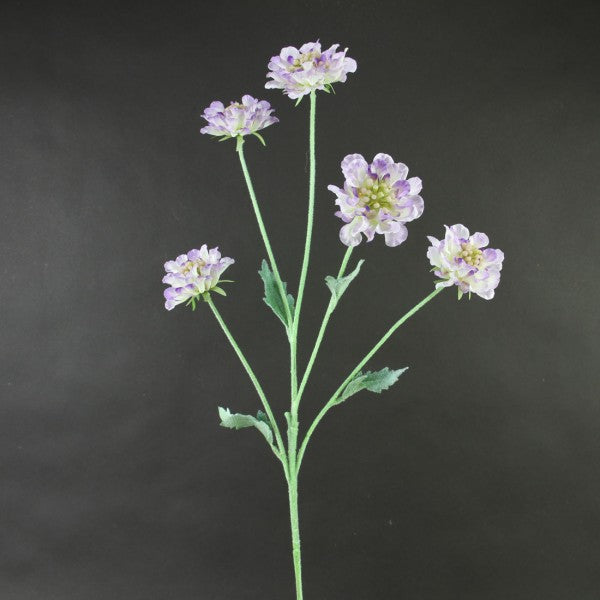 29" SCABIOSA SPRAY