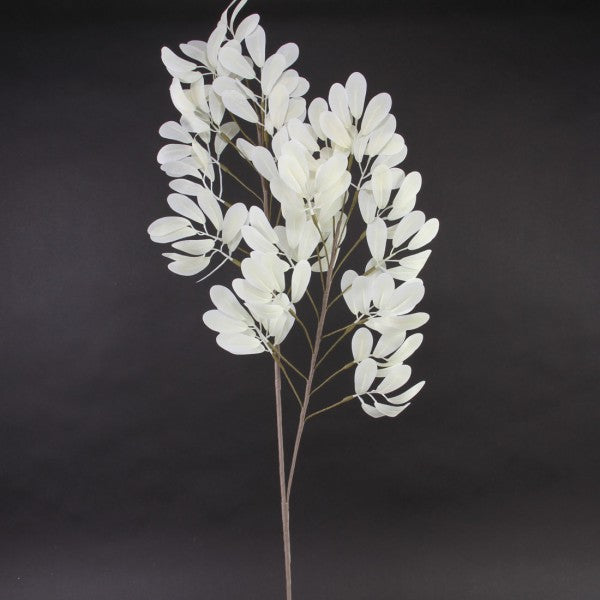 39" SWEETPEA SPRAY CREAM
