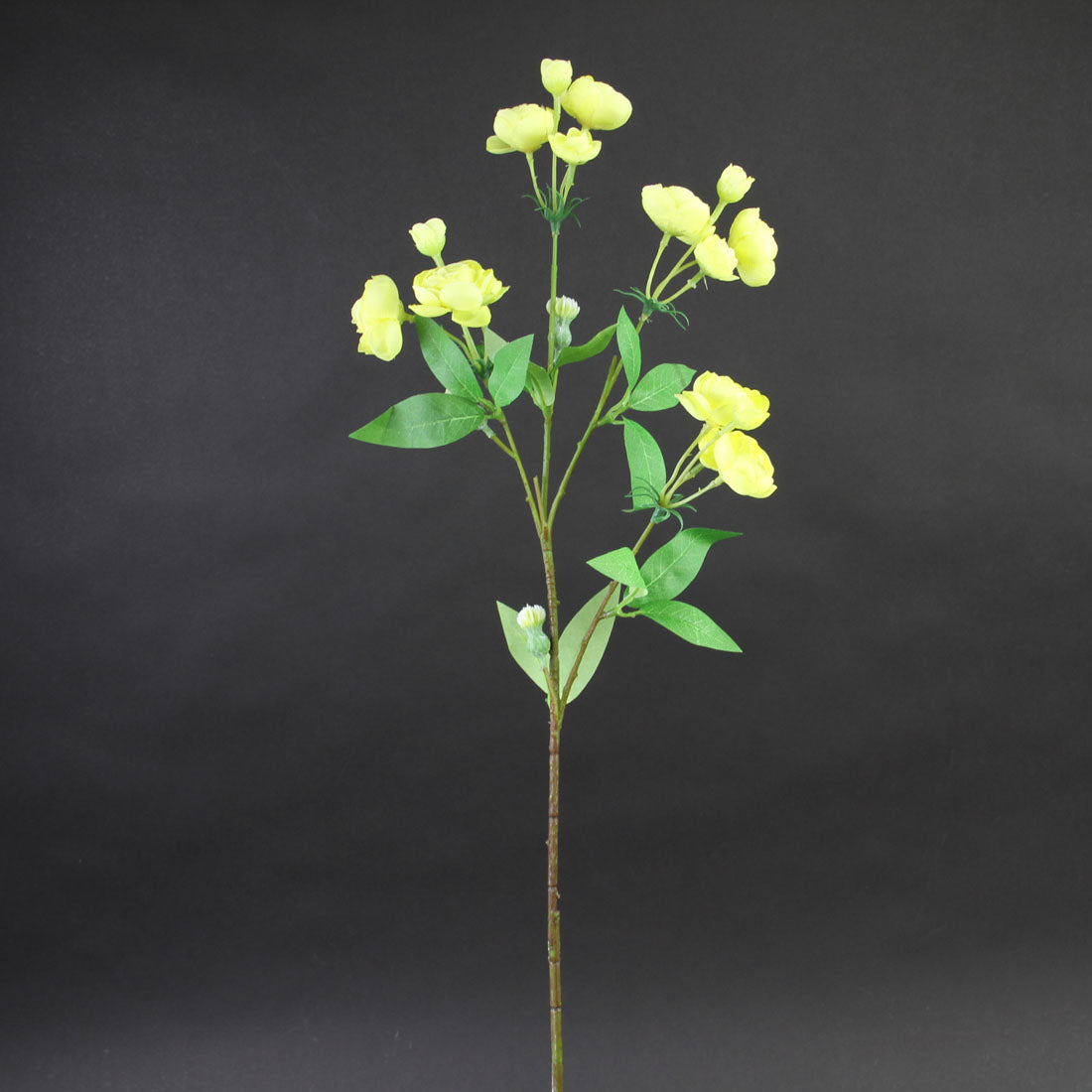 31.5"MINI RANUNCULUS SPRAY