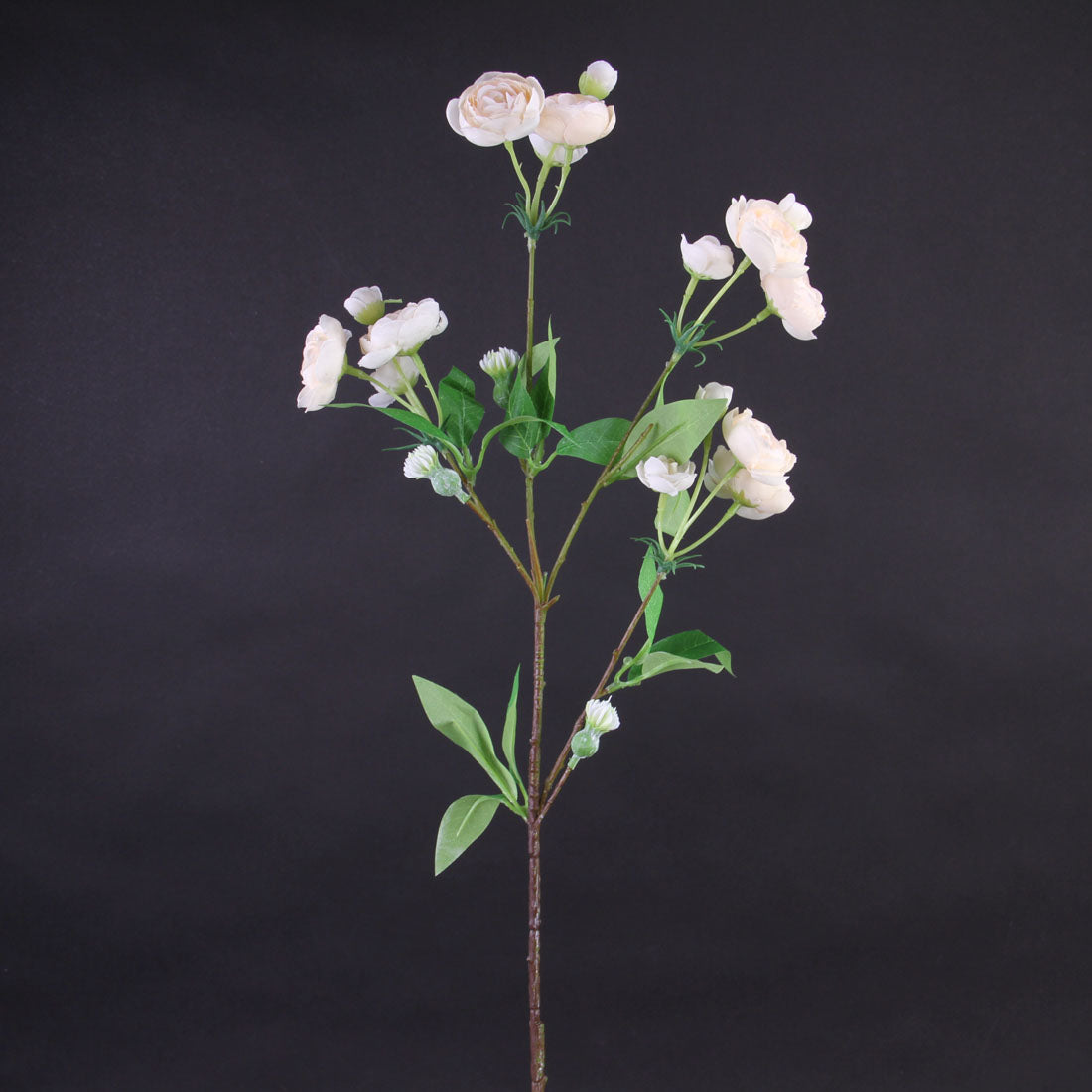 31.5"MINI RANUNCULUS SPRAY