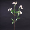 31.5"MINI RANUNCULUS SPRAY