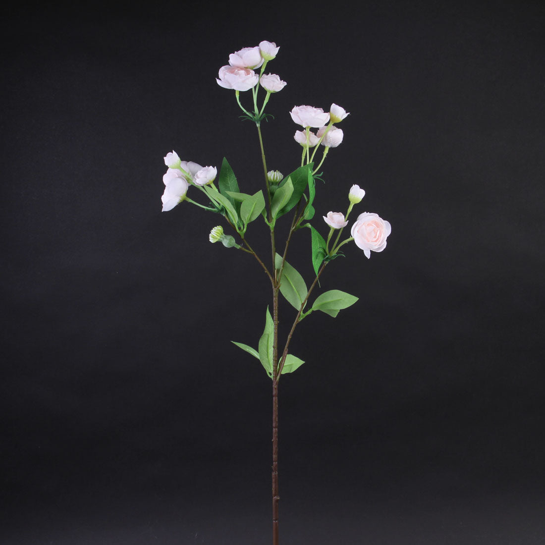 MINI RANUNCULUS SPRAY